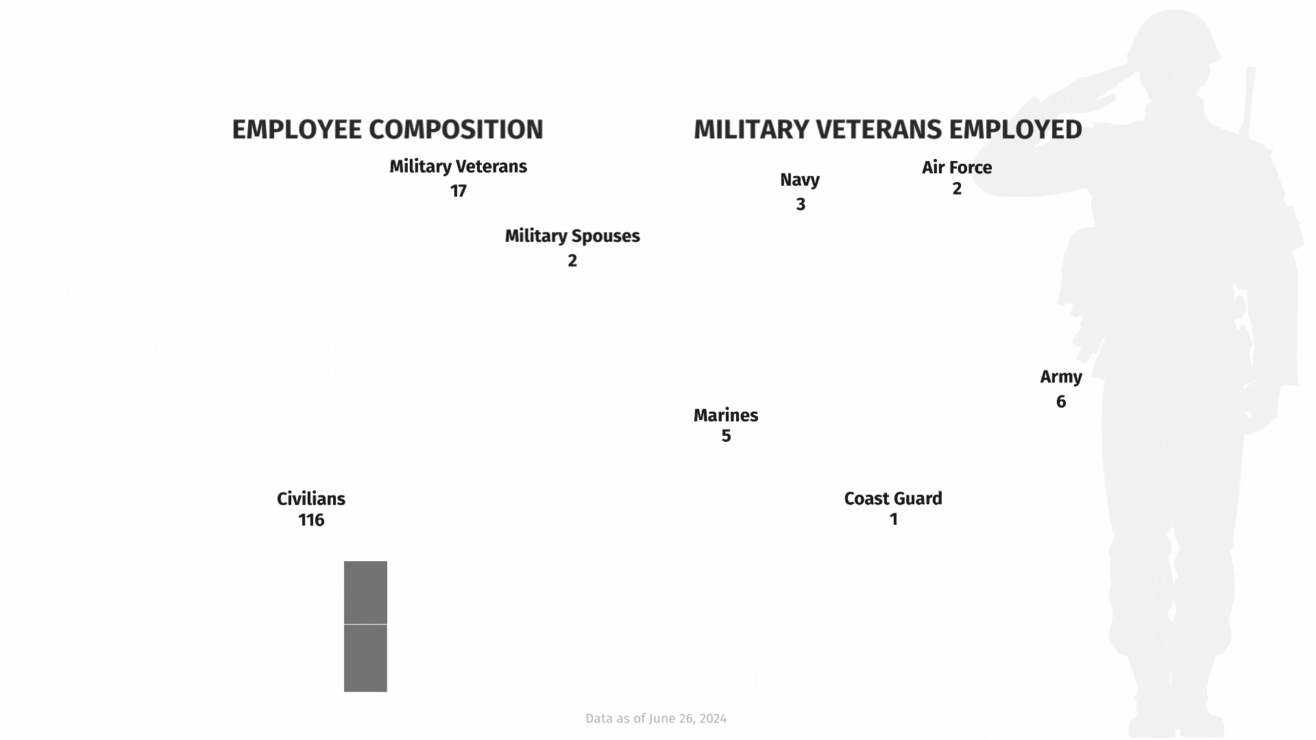 Sapphire Military Veteran Employee Infographic WEBSITE - June 2024